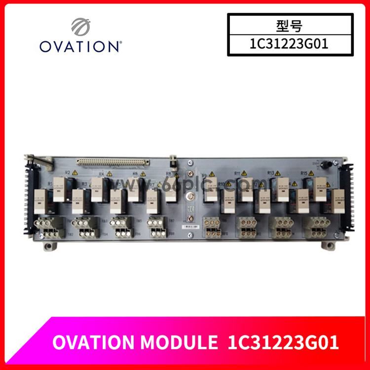 OVATION-1C31223G01-(2).jpg