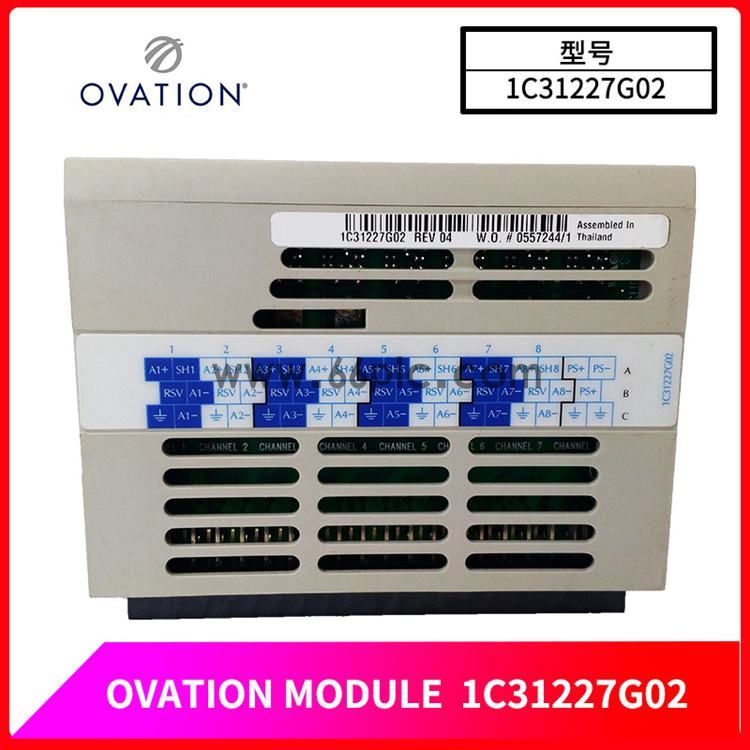 OVATION-1C31227G02-(3).jpg