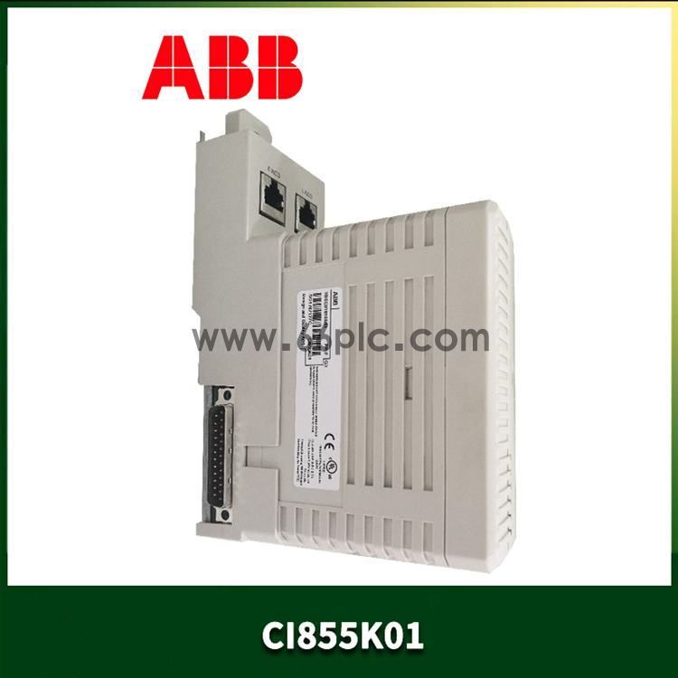 ABB-CI855K01-(1).jpg